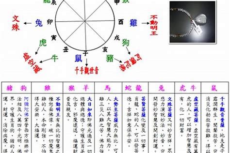 2003年五行属什么|2003年属羊是什么命，03年出生五行属什么